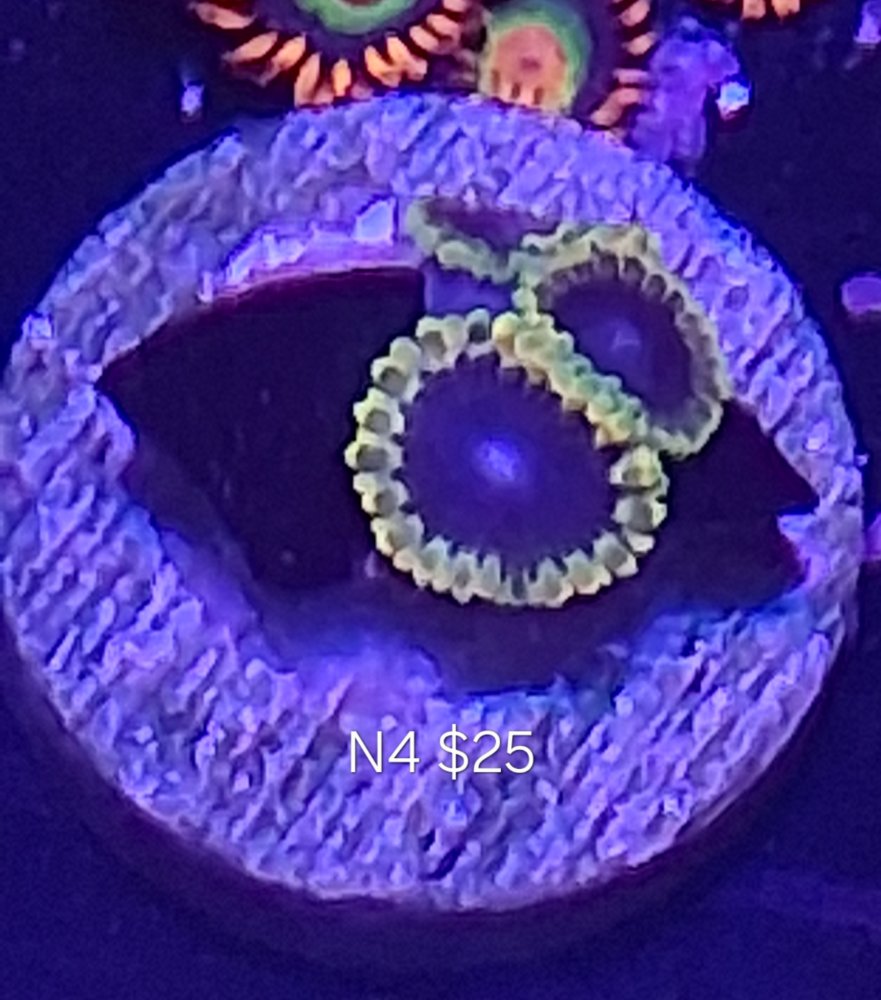 20260327_103545.jpg