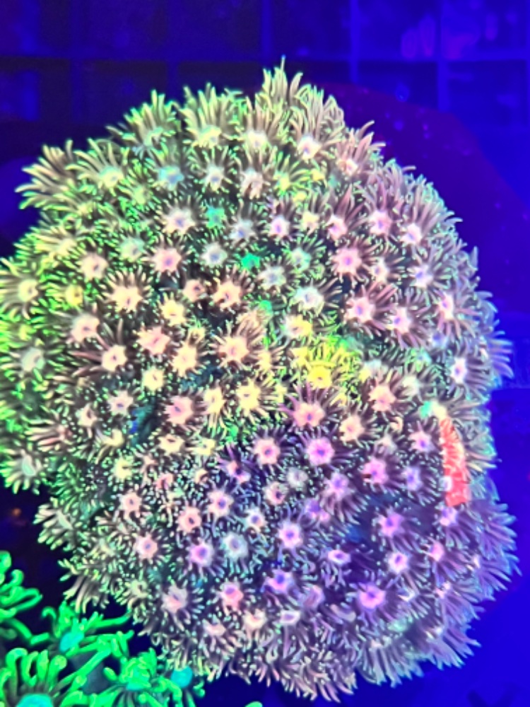 262D0665-D742-4170-94BA-63F2C94D4CD3.jpeg