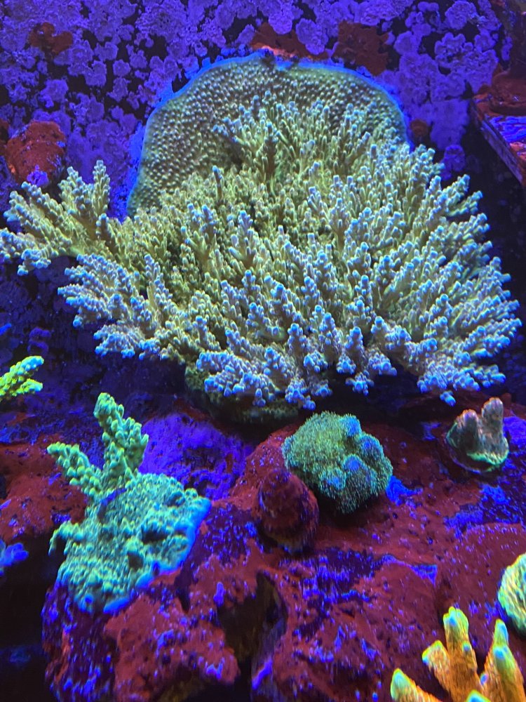 28679539-1721-445E-879D-D2BBB0781DD0.jpeg