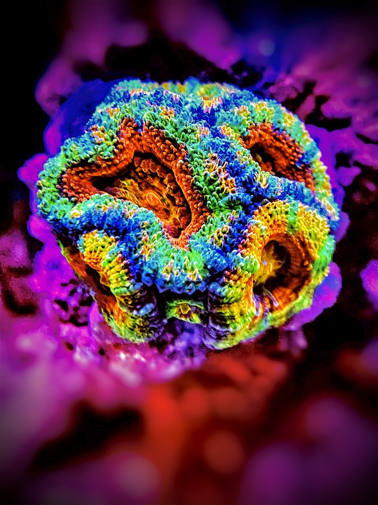 291B703D-8D88-4510-945F-149CD935373E.jpeg
