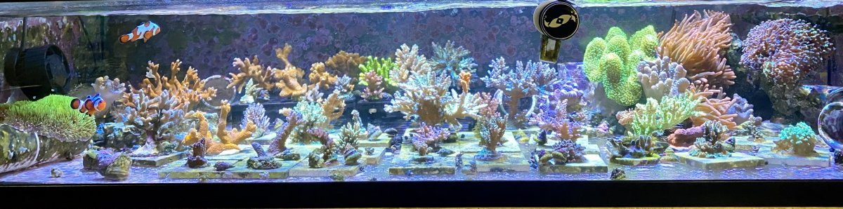 2BC28B1B-F9AC-4217-814A-AF29E9C1CBEE.jpeg