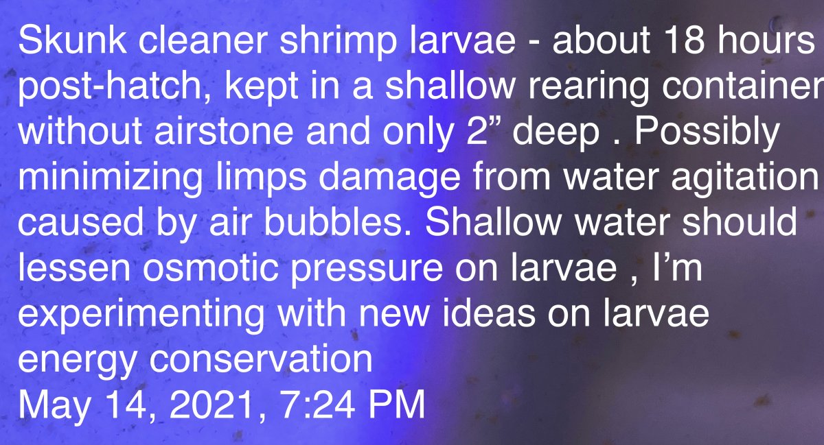 2BD08FC4-E1E9-401F-8726-EA26538D71DA.jpeg