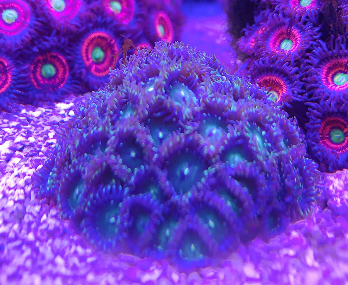 2C2EA70F-E604-416F-AF69-2CEBDE83BDDF.jpeg