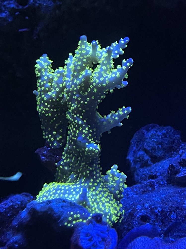 2D06C50E-832A-4A87-8BB9-11D003C1A2C1.jpeg