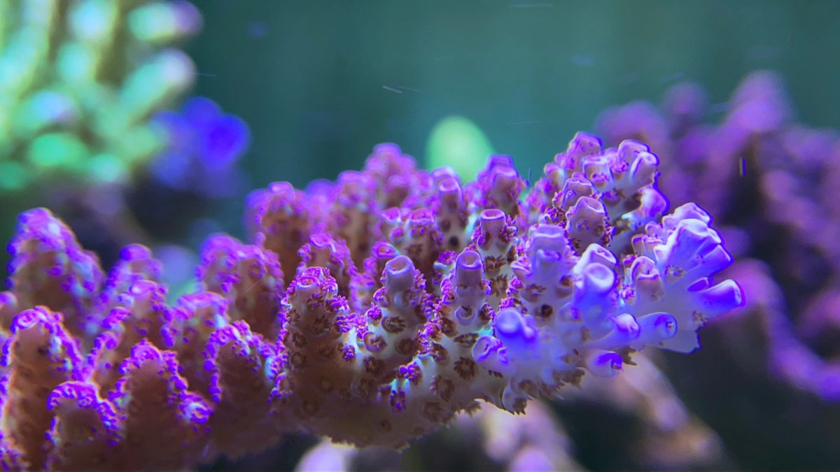 2D51C473-76FB-4D9C-9128-503084B268D9.jpeg
