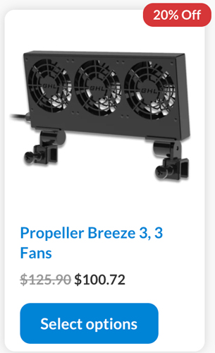 3 fans.jpg