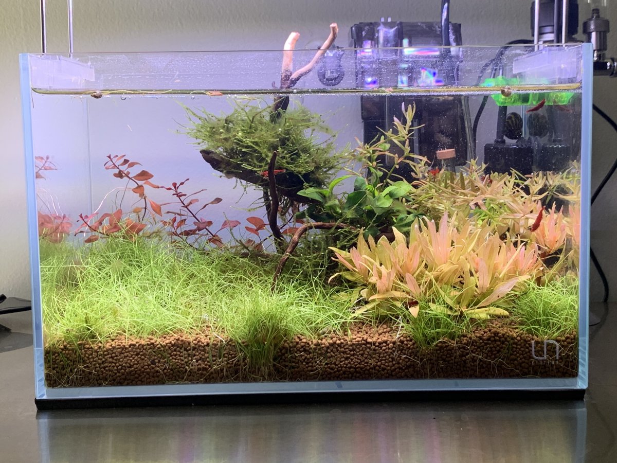 31154C70-433E-44DF-A5AD-D538EFFF1BD5.jpeg