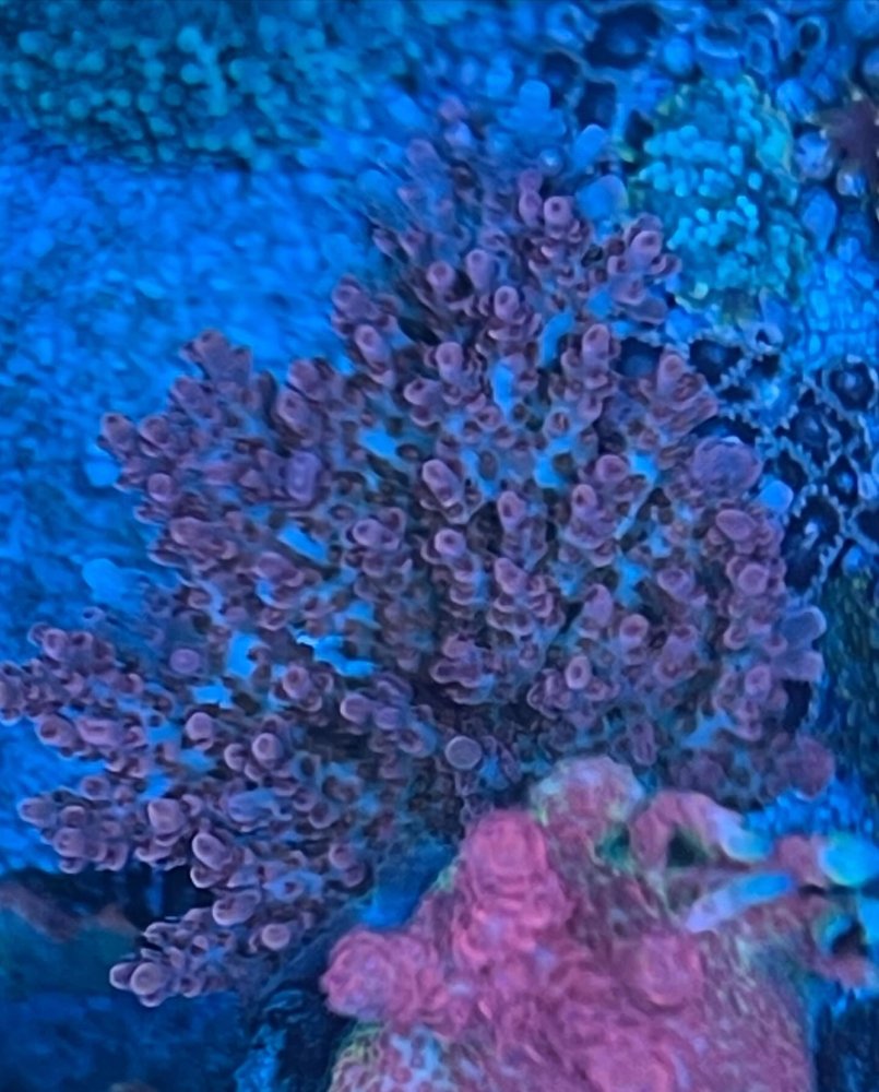 31928368-5DCB-4835-879E-0B073A03440F.jpeg