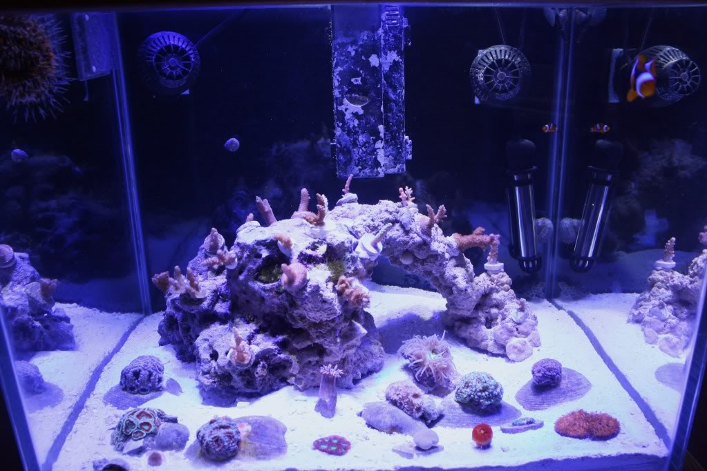 36a.jpg