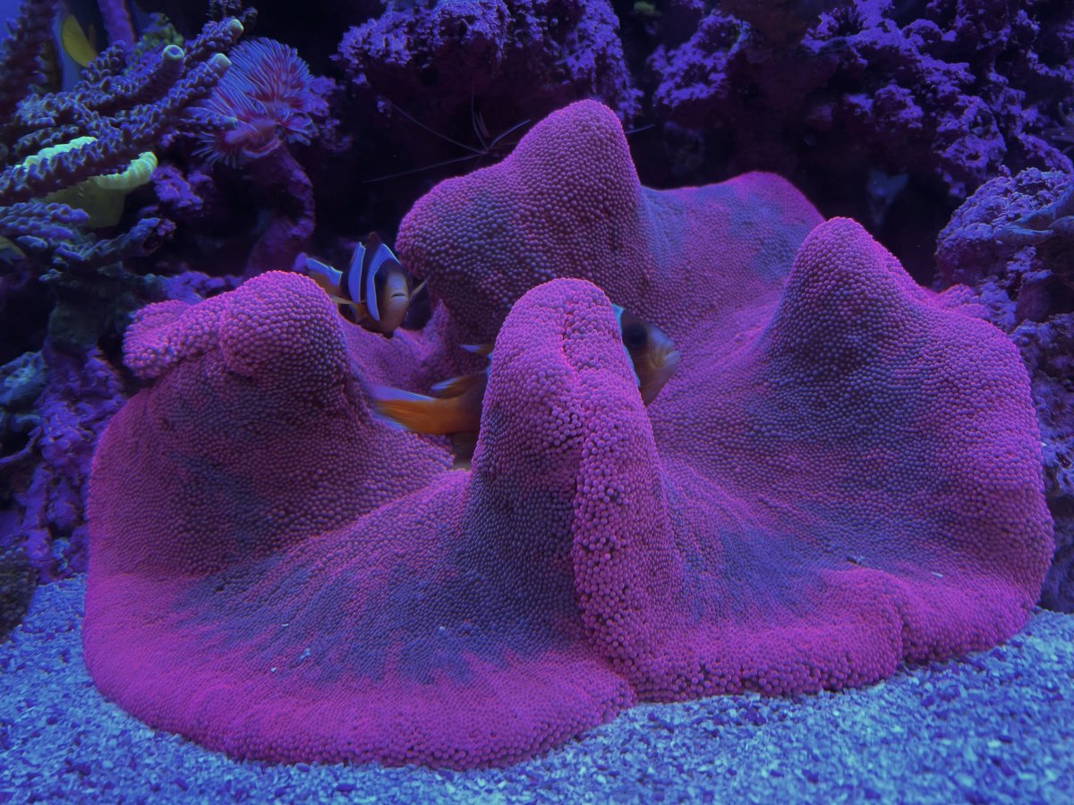 37B7B094-1437-40CE-8680-665857F67B56.jpeg
