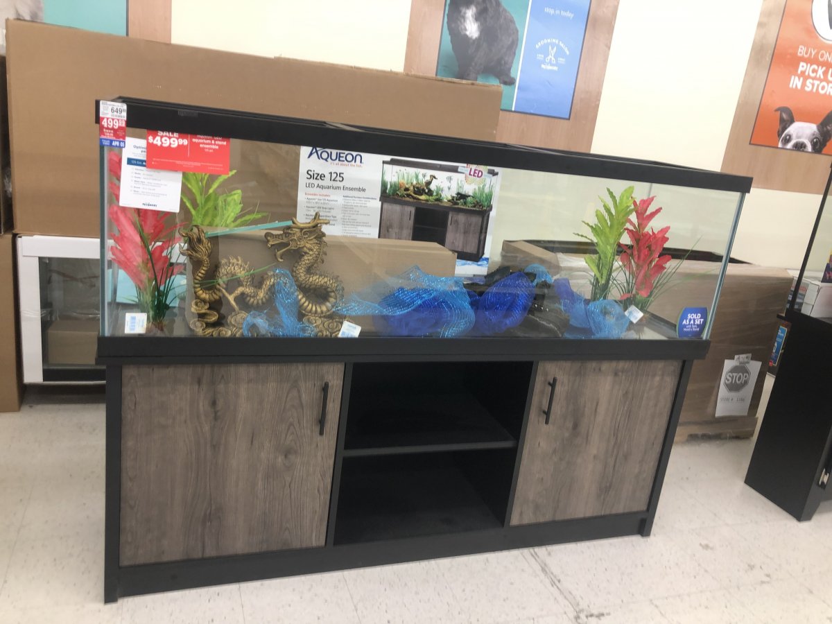386C9E8C-9EF7-42AB-B050-330F970CA8AC.jpeg