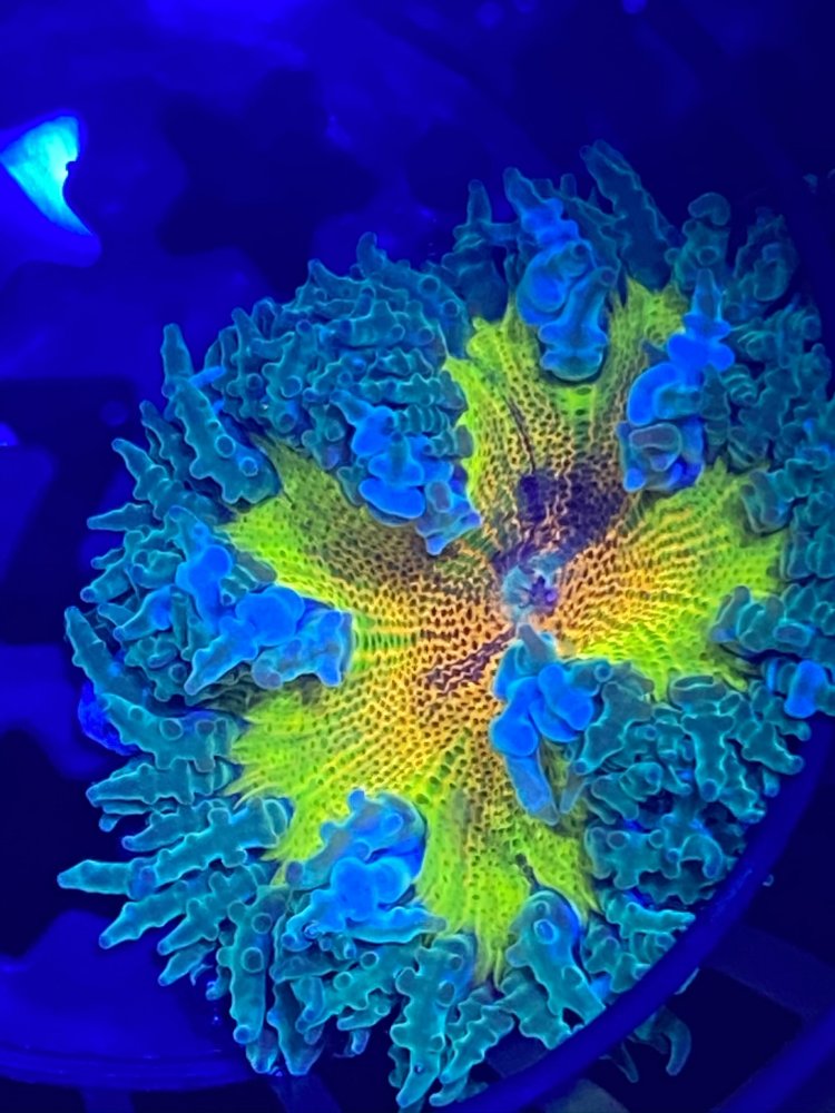 3947F2C5-5AD2-4C01-BEF8-12275D1A86C3.jpeg