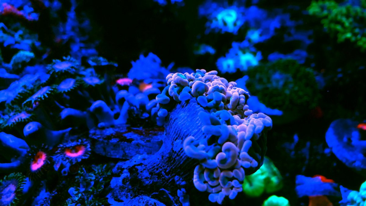 3B5BEEE5-CF8B-4EB5-8BE9-DC34561AB8BF.jpeg