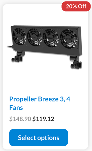 4 fans.jpg