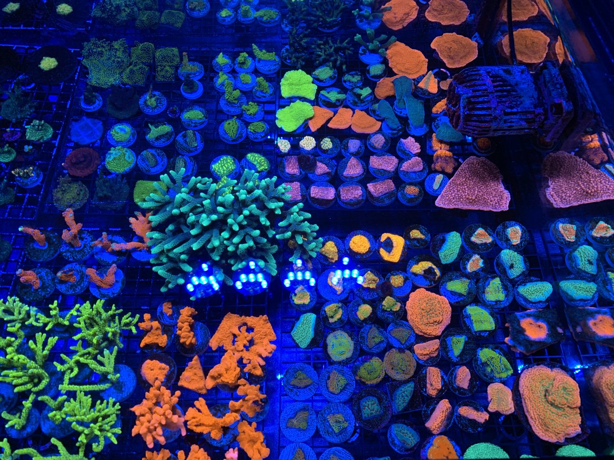 440186A5-EB1D-4E96-B61F-C546426F0DF9.jpeg