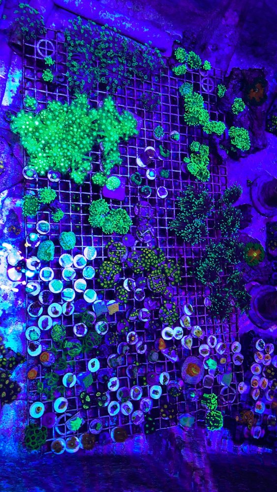 47F0B663-1A6C-497F-BE69-3D08A84AD63B.jpeg