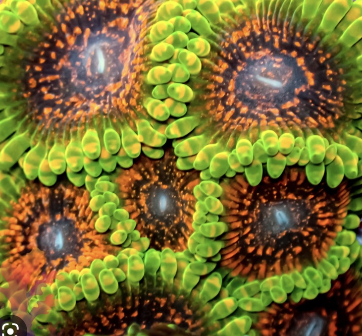 4AD6602F-2D62-4CA0-8E27-814D419782E5.jpeg