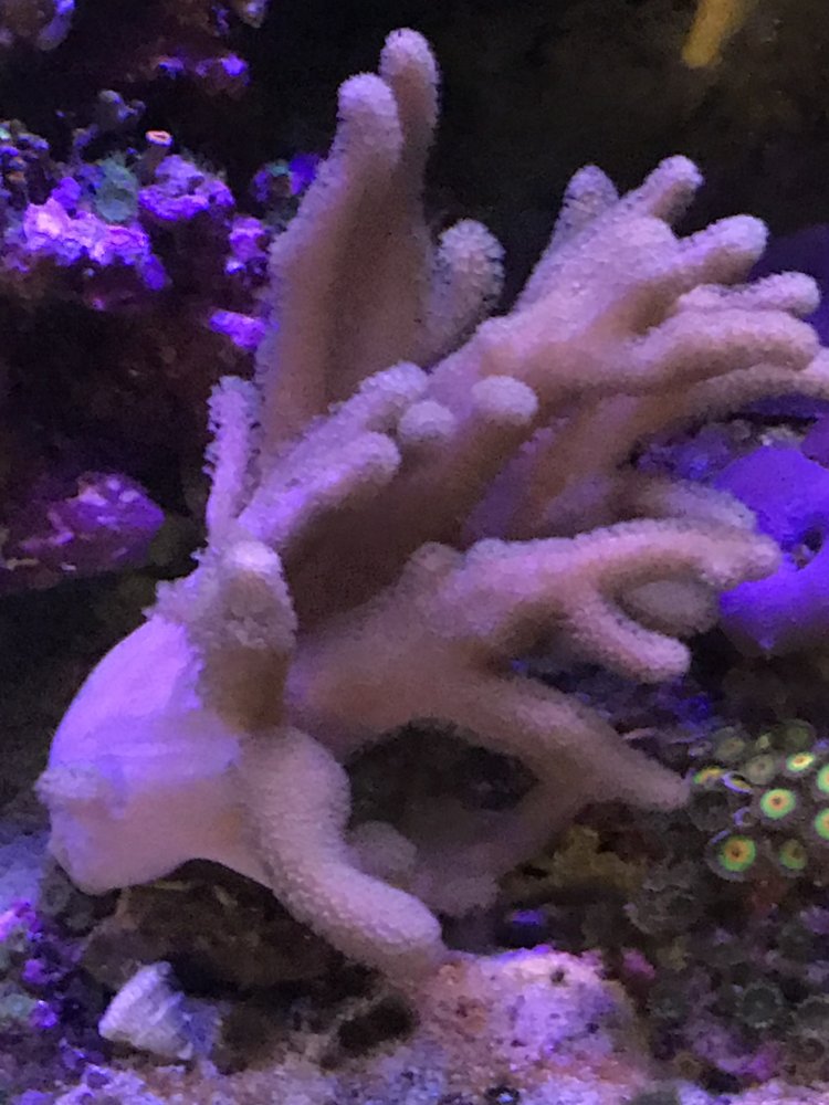 4BB22426-849A-49C9-93E5-A174D431AF29.jpeg
