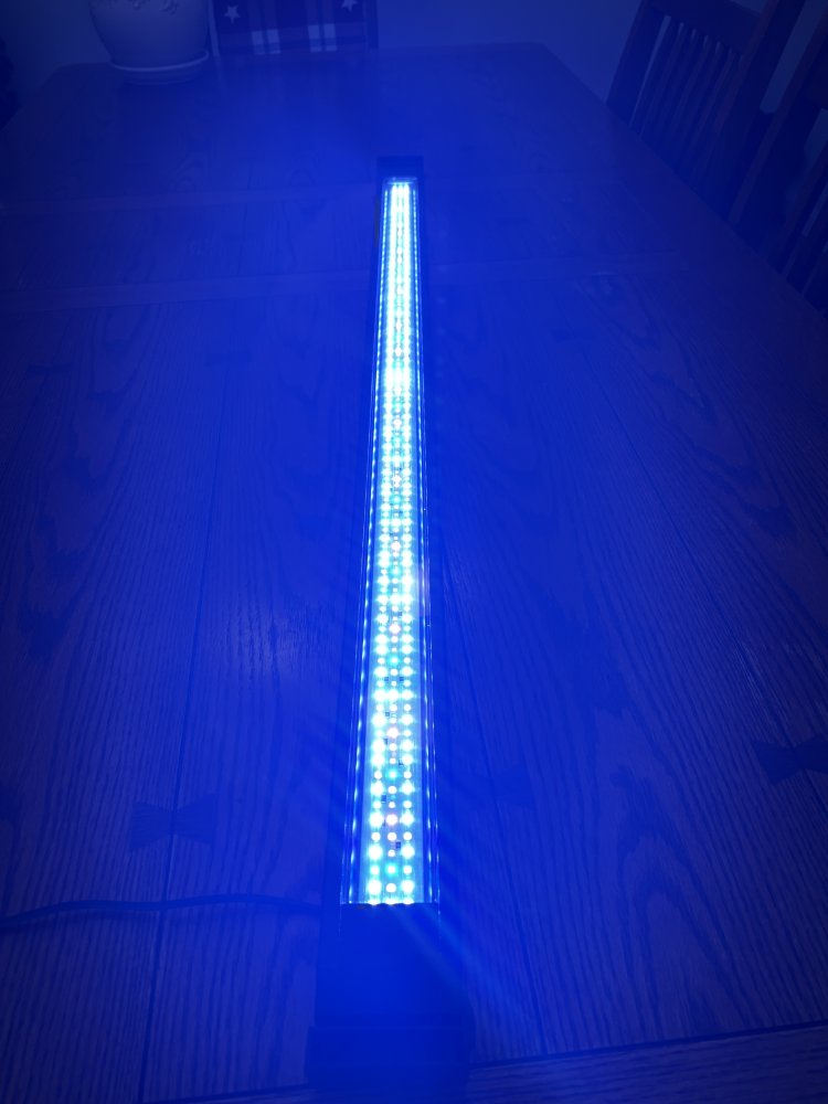 4E8EF97F-42E0-43DE-9BC4-608AA4F1DB25.jpeg