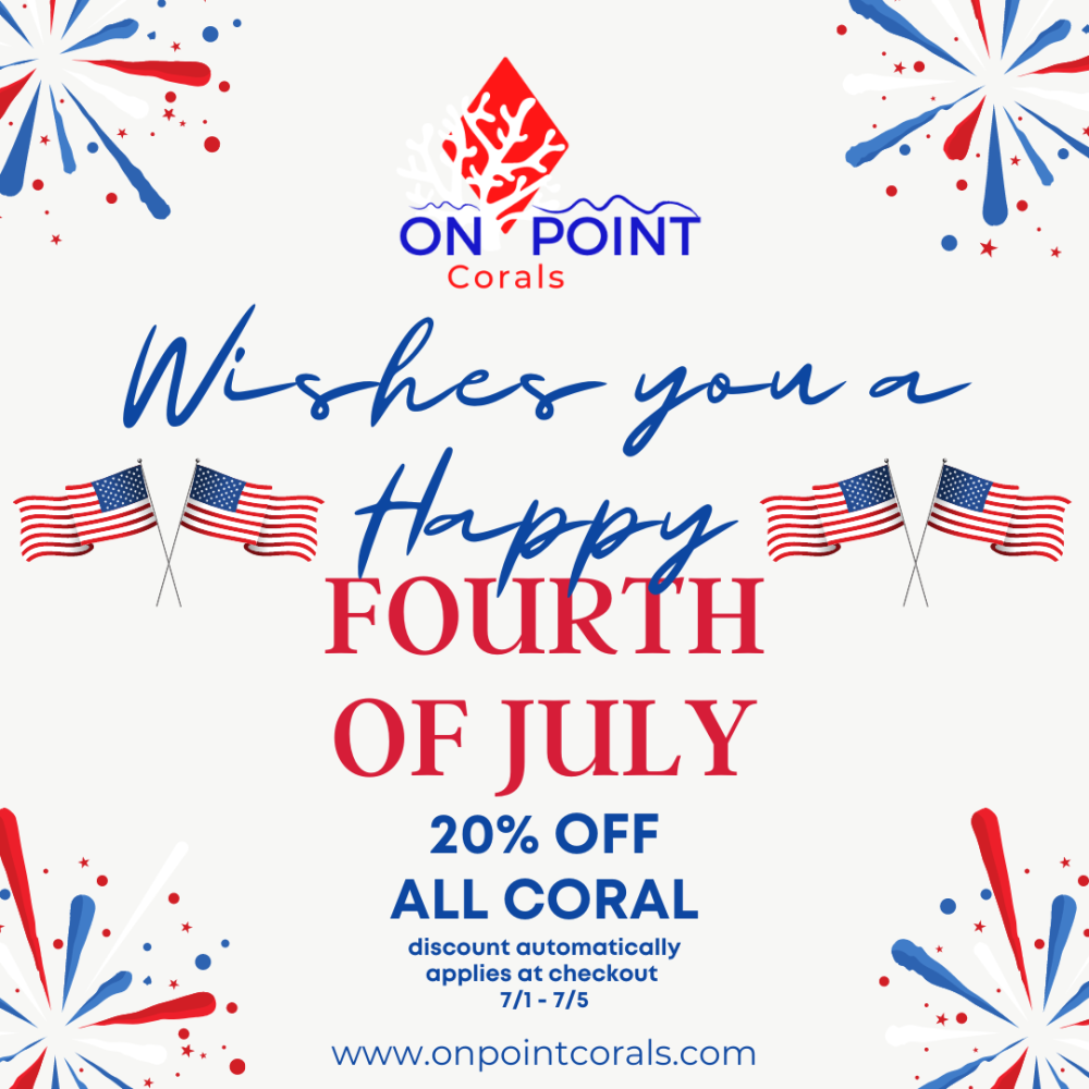 4thofJuly.png