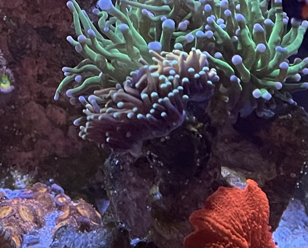 58314FD3-0B60-4145-B977-D4A0E017D0E0.jpeg