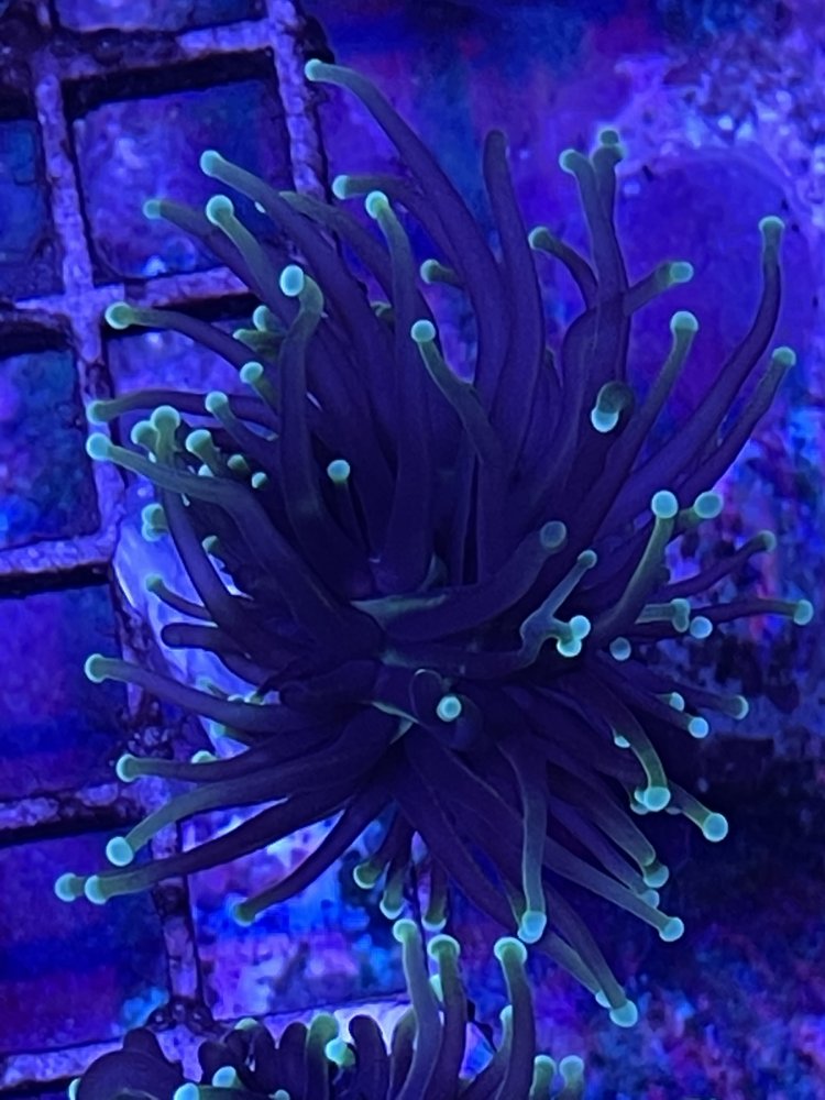 59F8E6AB-C25F-4280-AFC8-C5E562198455.jpeg