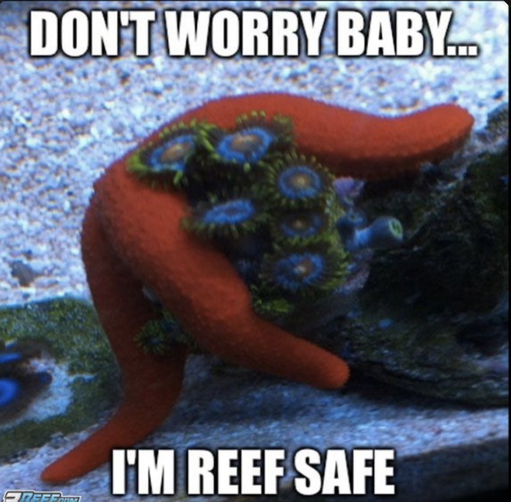 5A0E46BA-3E6B-47A8-B656-D370961EF0C9.jpeg