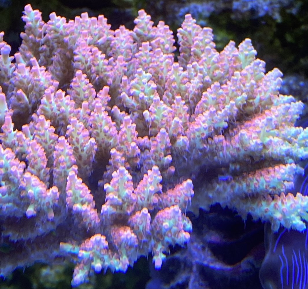 5B3A6D93-3498-4460-AE4D-05C5B8F811DE.jpeg