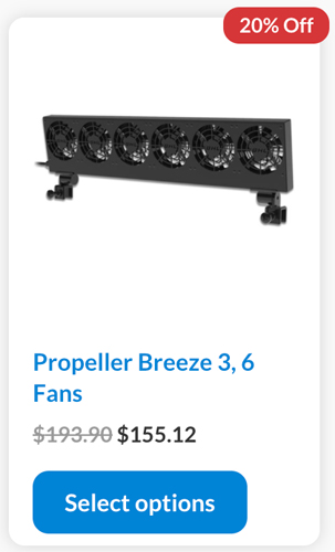 6 fans.jpg