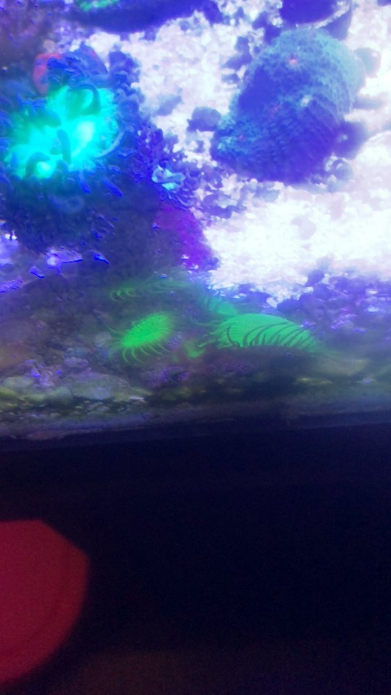 60FCEA6D-2343-4DF7-AB28-AAA2D55BCE75.jpeg