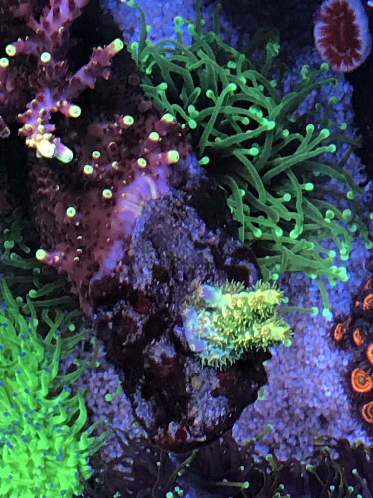 6308B66C-1131-4CF0-8DCE-808CA15E40B2.jpeg