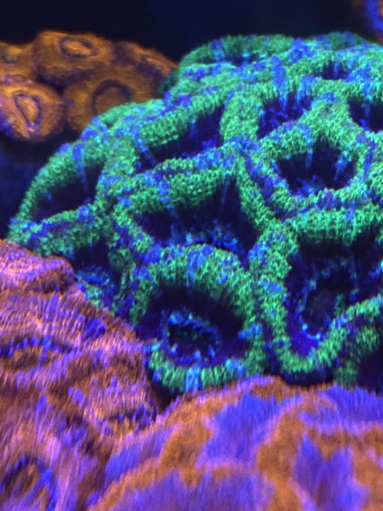 65B2832E-C9BF-4BA4-86B6-53779E3BD443.jpeg