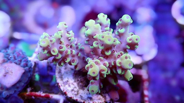 6C42B6B4-EE0E-4B98-BC22-B2370F4C6F4E.jpeg