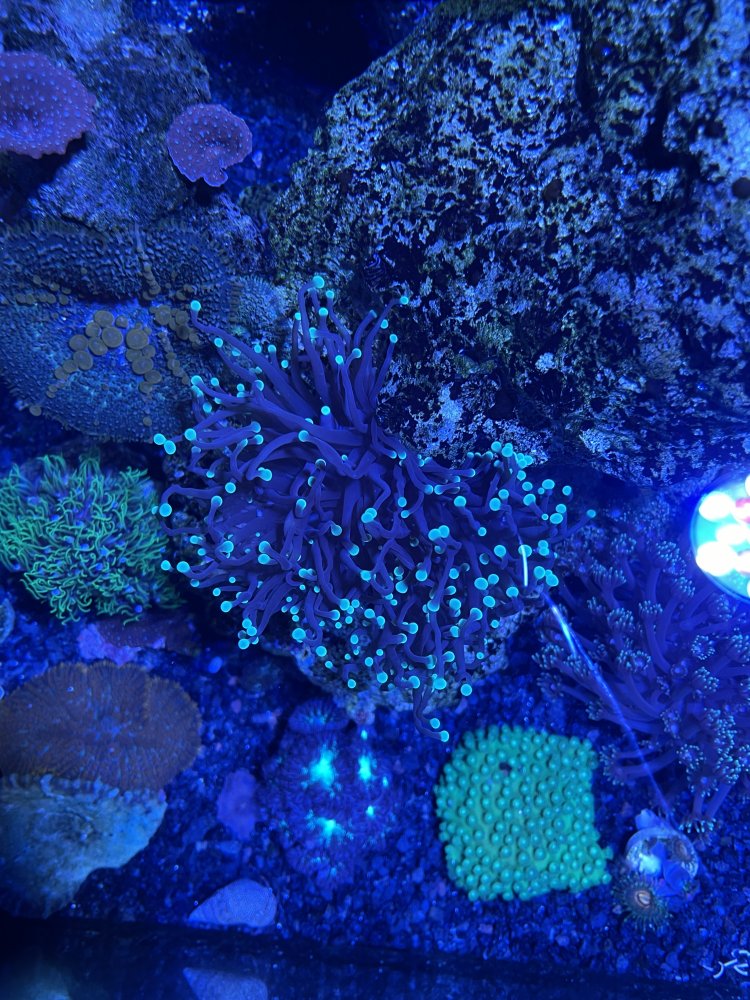 71D25961-7823-4646-9C28-11D2246A5EDB.jpeg