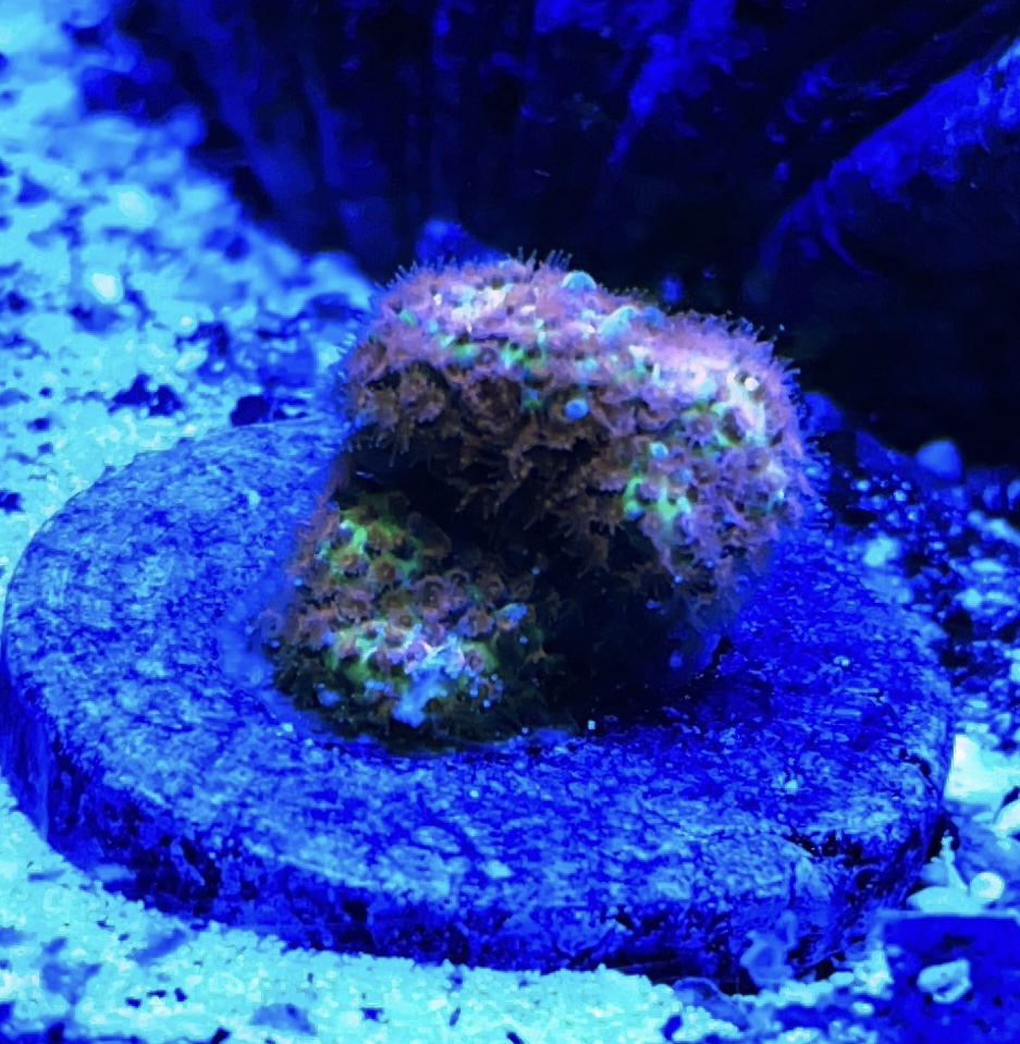 757220F5-FCAD-4431-9158-DC3A1A467F5F.jpeg