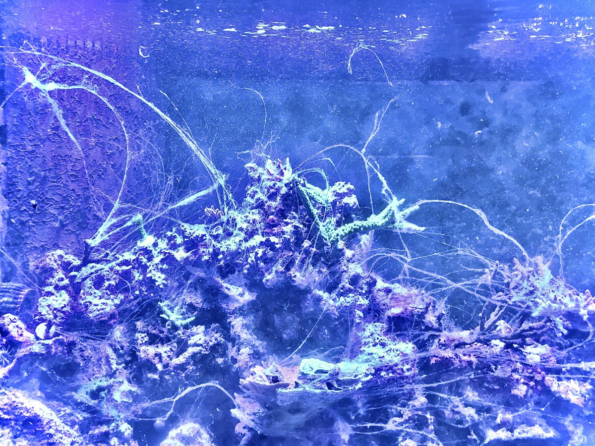 759304D3-6579-43B9-9399-1959E750CA92.jpeg