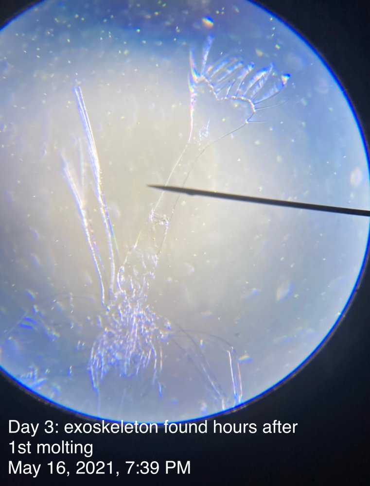 789B021F-0C42-468B-A42D-7CF0CE820694.jpeg