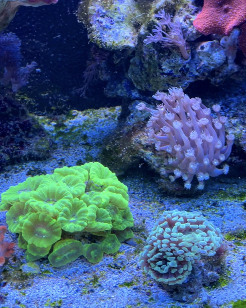 7C195E59-DAE7-4A23-9B90-AB36E6C2B34C.jpeg