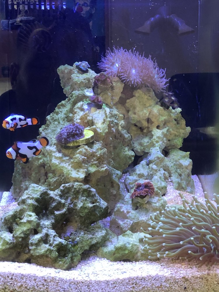 7D00C58C-45F3-44DA-845E-1776BBF8CE65.jpeg