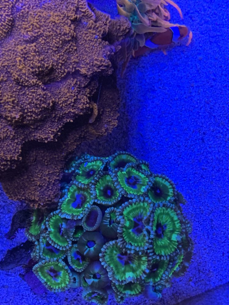 7D032665-D521-452B-B5F6-C27C6A96F666.jpeg