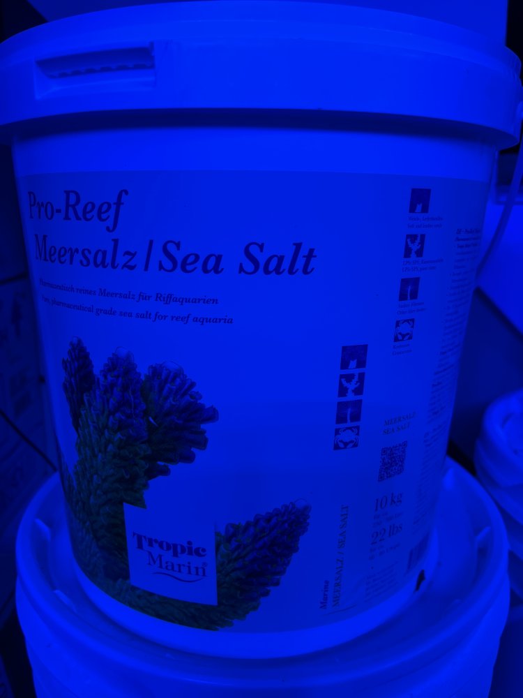 7E72832B-6AF6-4448-B93B-F05831D95936.jpeg
