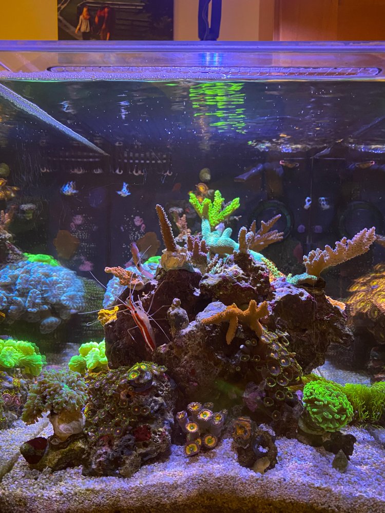 8-4-reef-front.jpg
