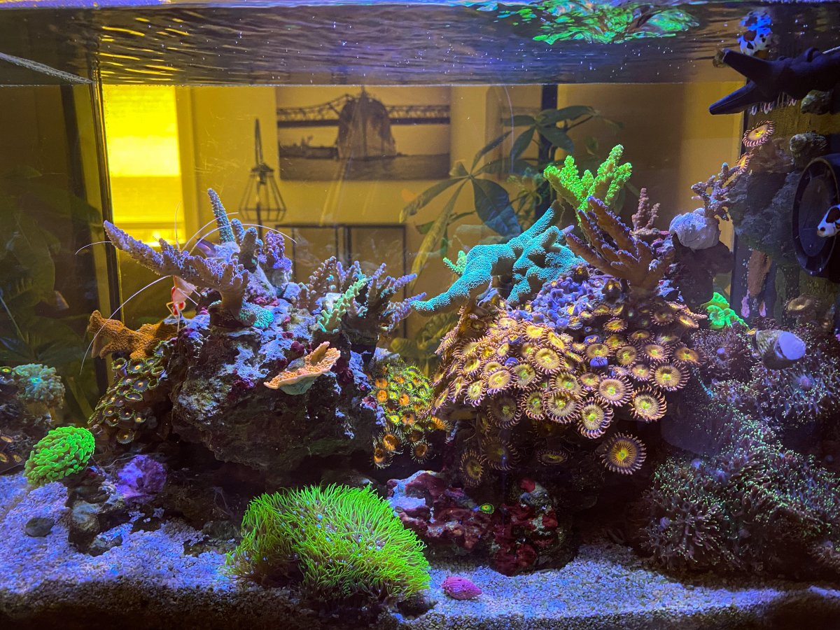 8-4-reef-kitchen.jpg