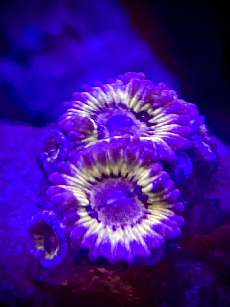 85253E57-3C36-43D3-B53D-1D4260016A28.jpeg