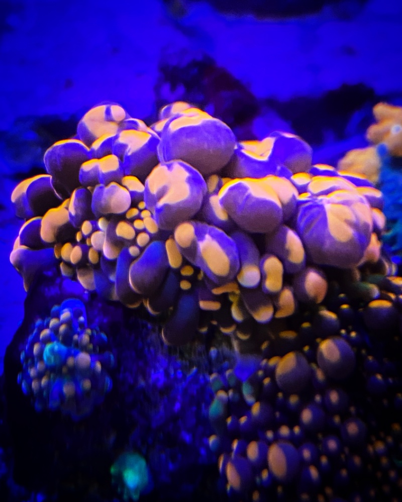 858D653A-B0A7-47CC-8427-7E8C31AD820E.jpeg
