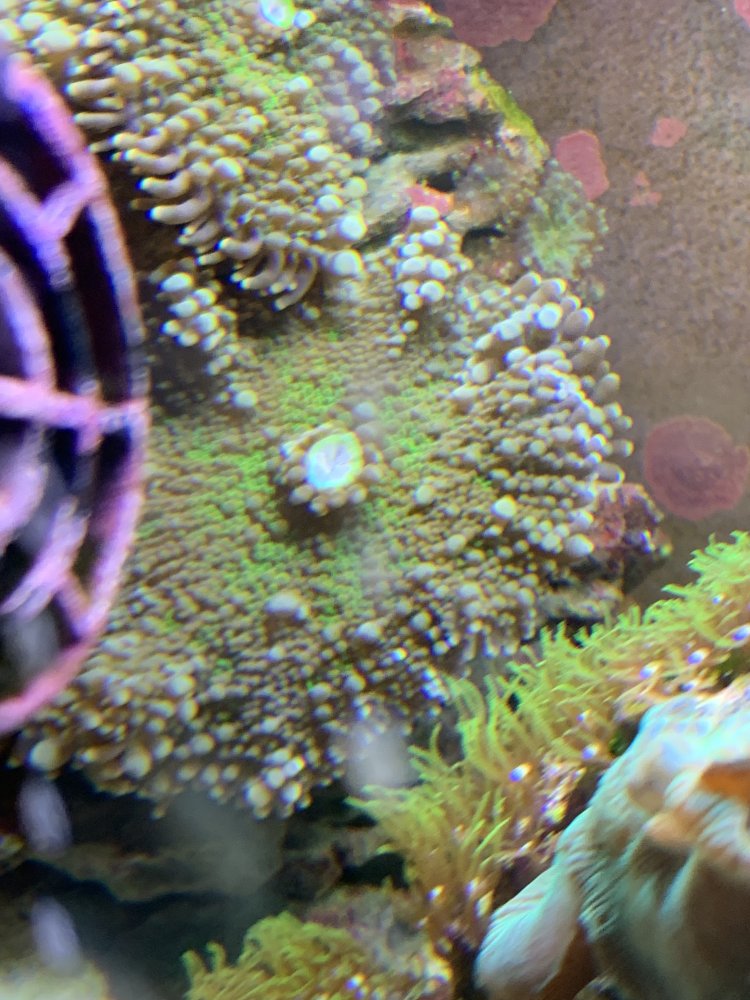 87936915-8BC5-45F5-A572-CA507EAB461C.jpeg