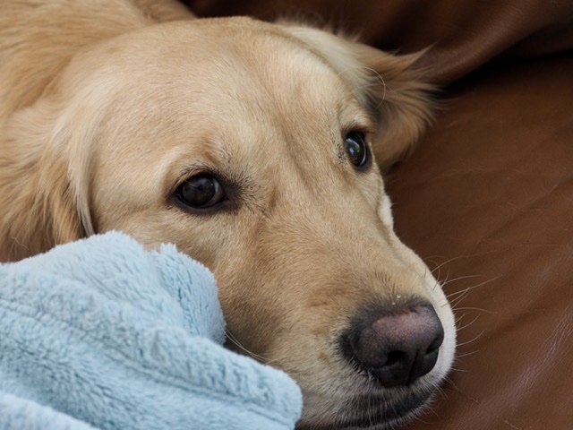 8A718C6A-4074-435E-8306-11644D2D388C.jpeg