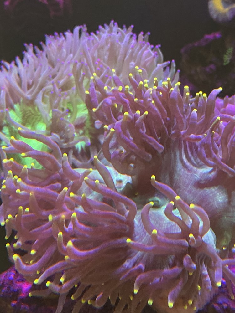 8CE0636F-B348-4568-8760-BD3D21824EA7.jpeg