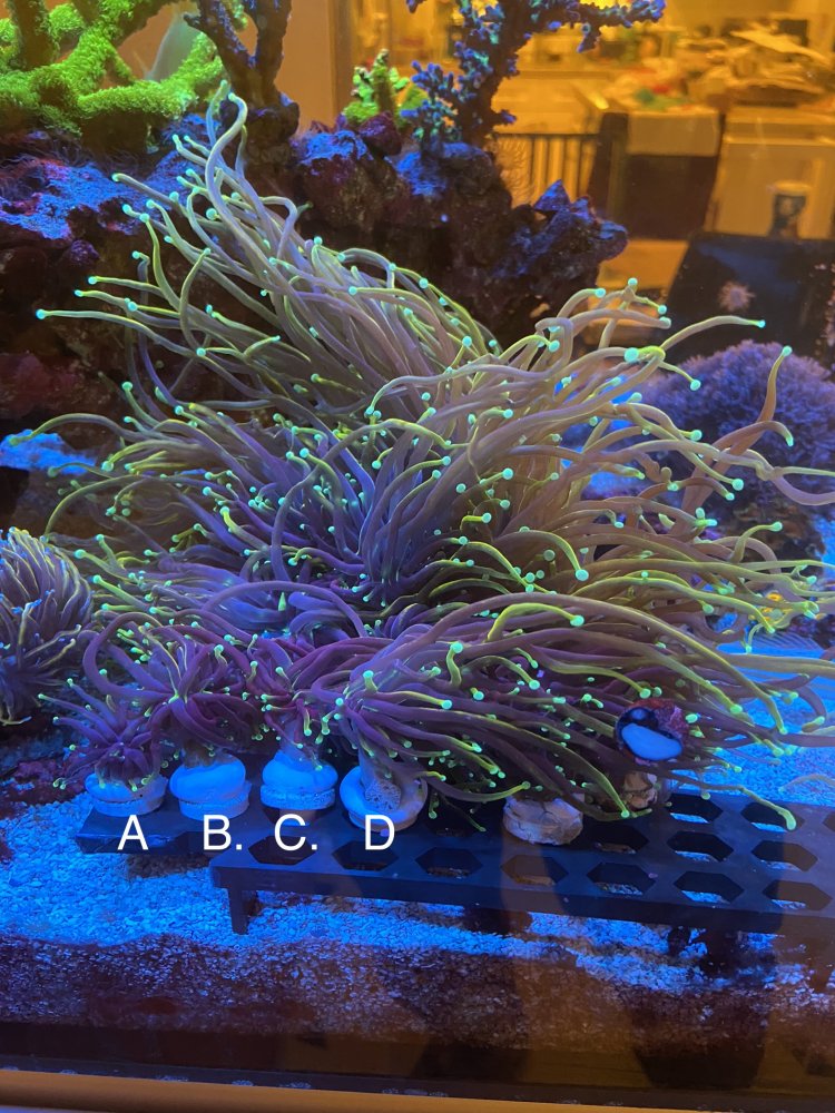 8CE6A60E-AE3E-4946-BD34-CF353EDBD884.jpeg