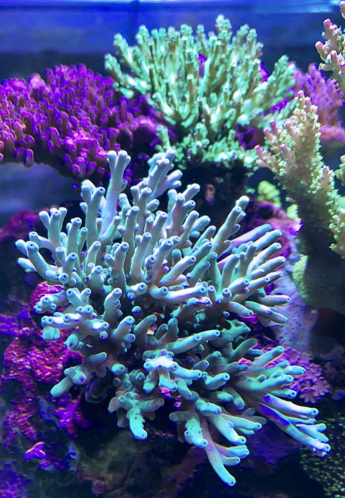 8D566753-CC72-4919-B47F-F9246712EE91.jpeg